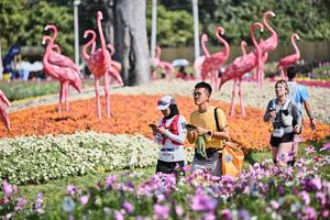 BIB: 
                            <button type="button" onclick="openModal(27794335)" class="btn btn-primary btn-sm float-right btn-popup" data-toggle="modal" data-target=".modal-high-quality">
                        <i class="fas fa-shopping-cart"></i> Add to Cart
                    </button>
                                            <button type="button" onclick="isThisMe(27794335, true)" class="btn btn-success btn-sm float-right btn-popup btn-isme hidden" data-toggle="tooltip" data-placement="bottom" title="นี่คือรูปของคุณใช่ไหม คลิกที่นี่เพื่อเอาเข้าอัลบั้ม">
                        <i class="fas fa-plus"></i> Add to album
                    </button>
                    <button type="button" onclick="isThisMe(27794335, false)" class="btn btn-warning btn-sm float-right btn-popup btn-isnotme hidden">
                        <i class="fas fa-ban"></i> Remove from album
                    </button>